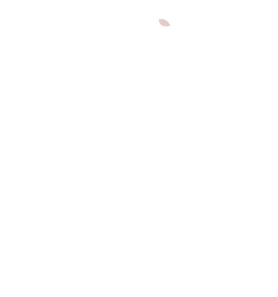 White Transparent (558x596)