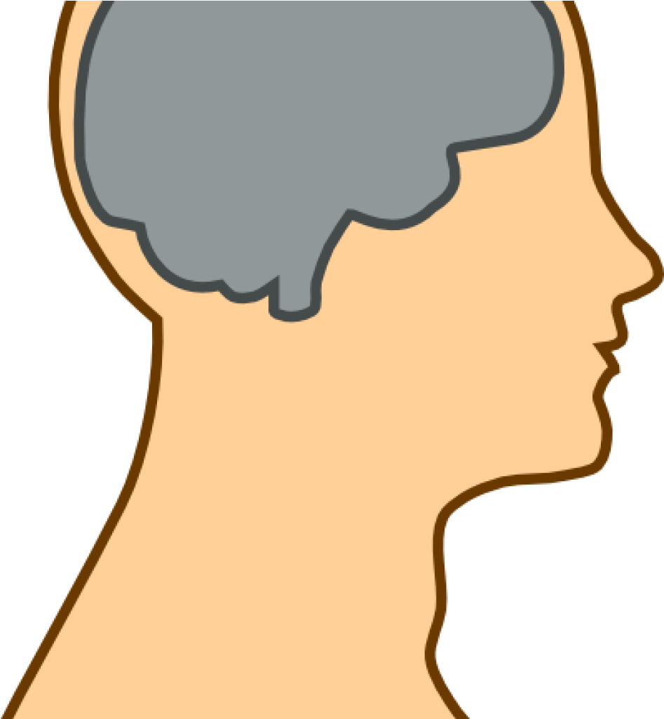 Mind Clipart Medical Diagram Of Brain Clip Art At Clker - Brain Clip Art (1024x1024)