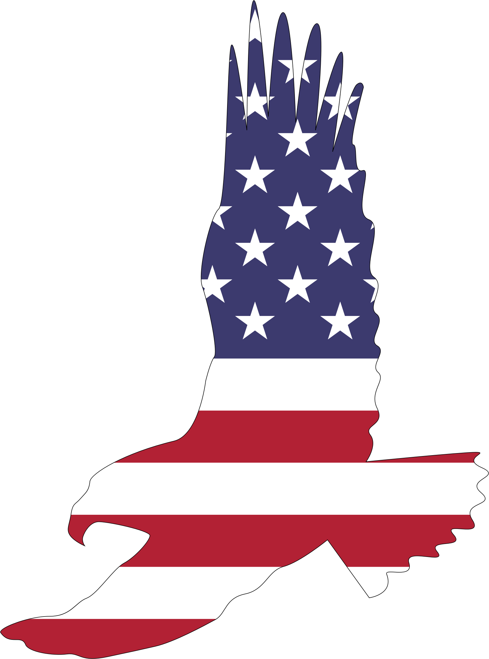 Bald Eagle American Flag Png (1660x2234)