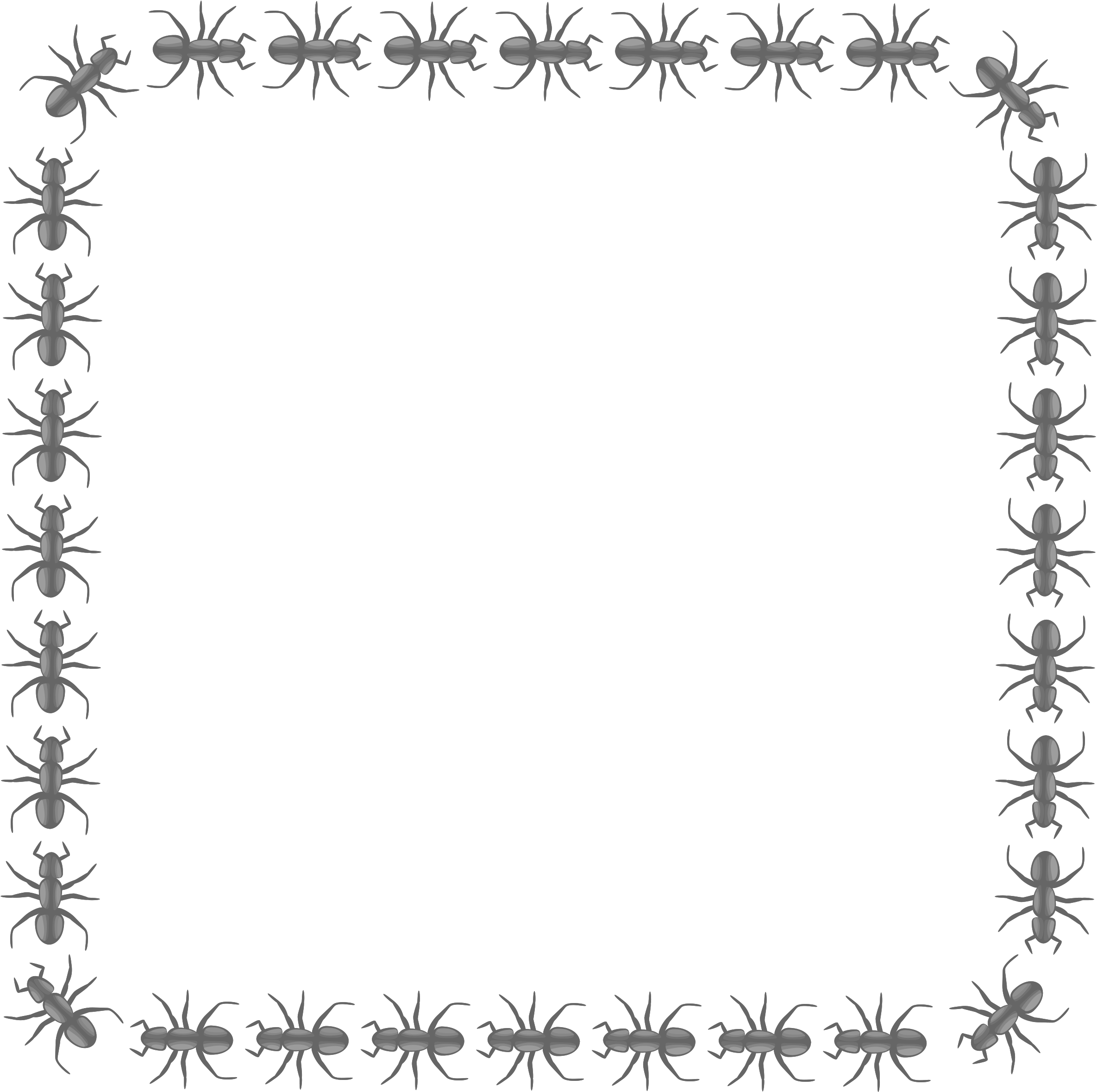 Big Image - Icon Border Circle Png (2400x2387)