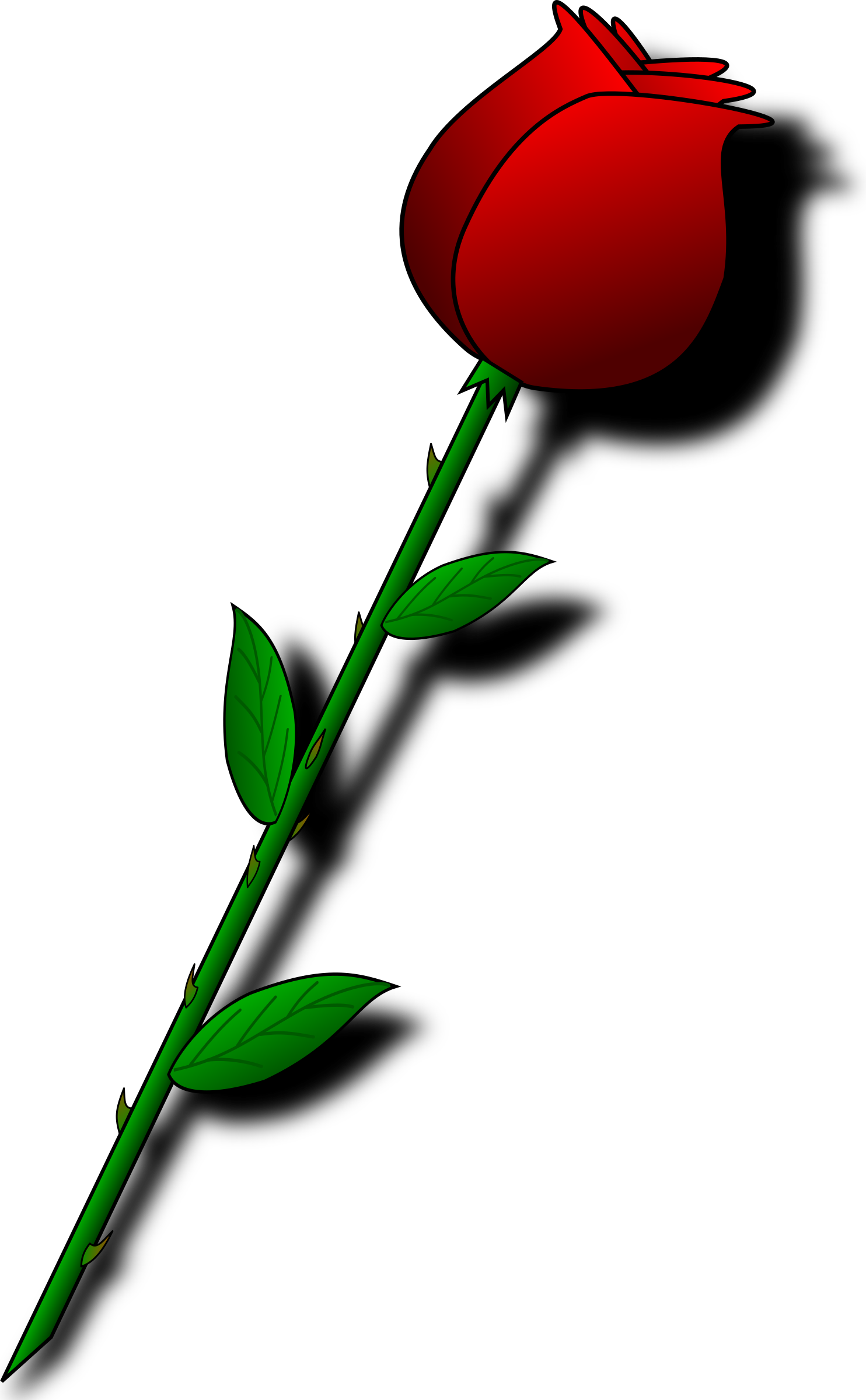 Big Image - Flor De San Valentin (1484x2400)