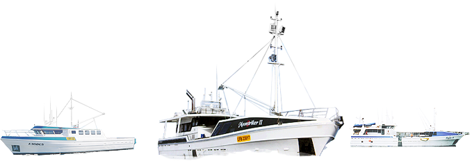 The Fleet - Catamaran (679x232)