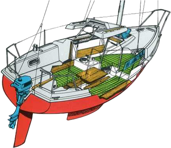 Edel - Catamaran (597x480)