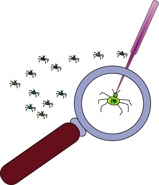 Bugs In Programming Clipart (510x595)