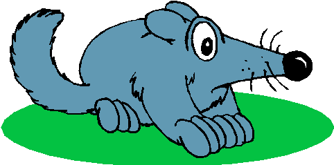 That's Mostly Because We Had A Rat Problem - Blue (490x246)