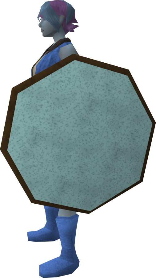 Mirror Shield Equipped - Shield (507x901)