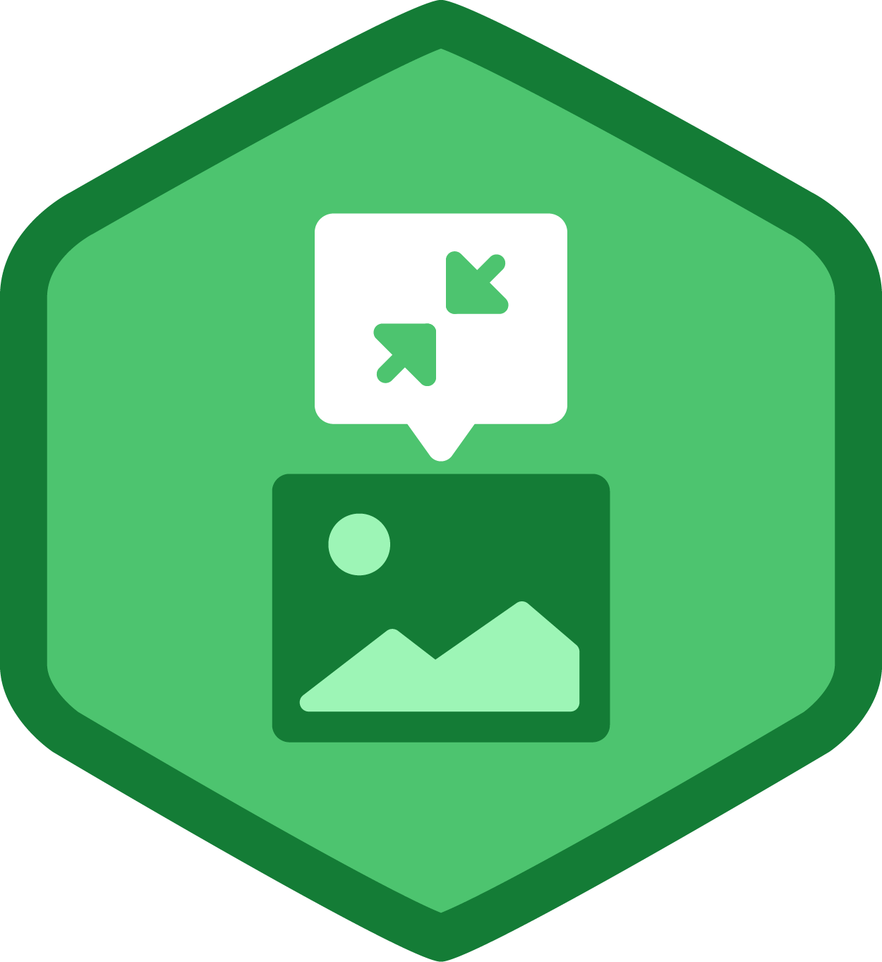 Optimize Assets - Spotify Hex Icon (1250x1363)