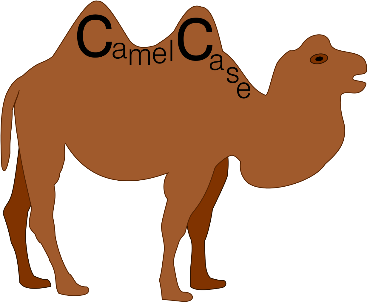 Camel Case - Camel Case In Java (1240x1024)