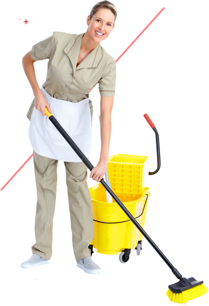 Services - Cleaning Company Wordpress Theme (735x1075)