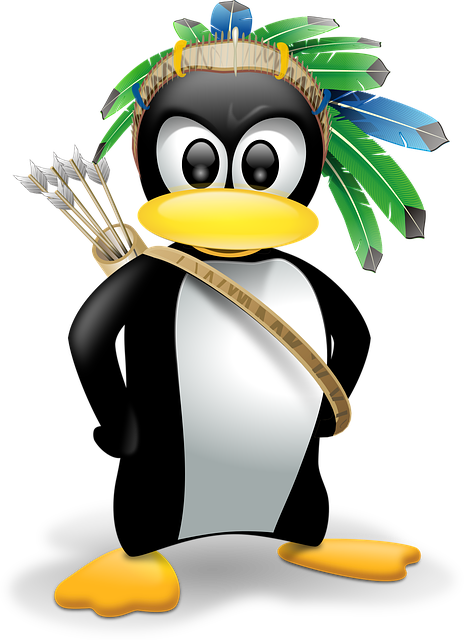 Penguin, Anthropomorphized, Animals, Linux - Penguin Clipart (530x750)
