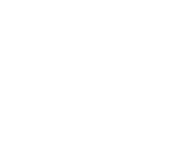 Illustration (572x521)