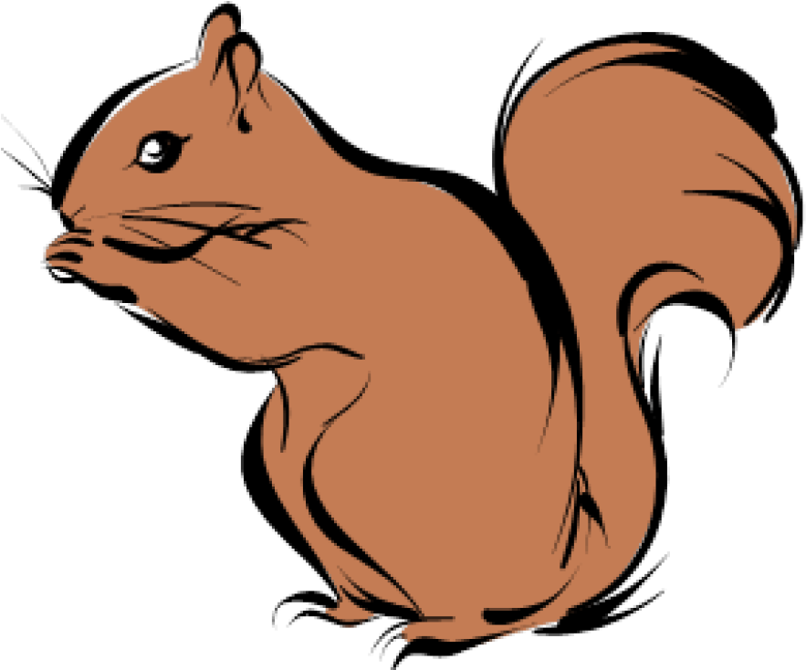 Squirrel Class - Printable Animal Targets (900x736)