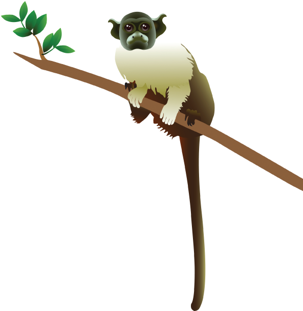 Test (591x635)