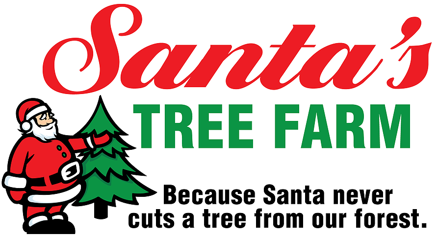 Christmas Tree (895x510)