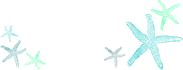Starfish Clip Art (600x231)