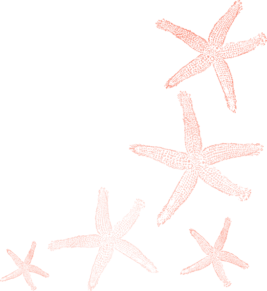 Starfish (546x595)