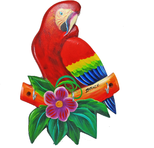 Macaw (680x553)