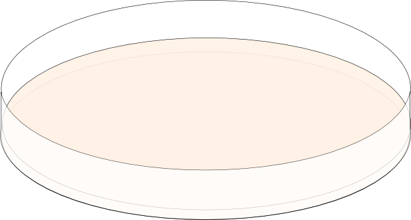 Circle (600x322)