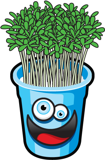 Fun Garden Activity - Garden Cress (512x697)