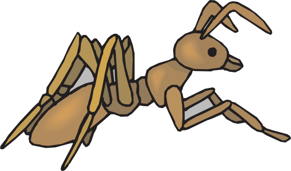 Brown Ant Clipart (600x354)