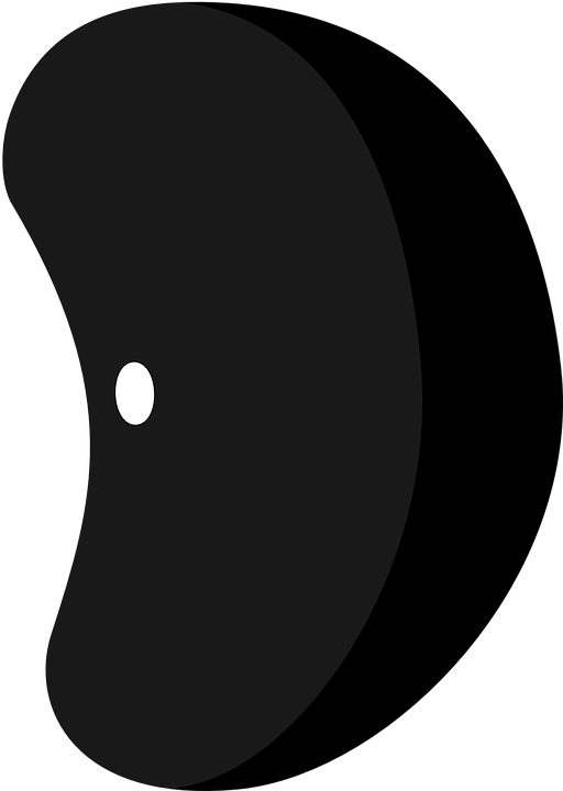 Black Bean Clip Art (512x720)