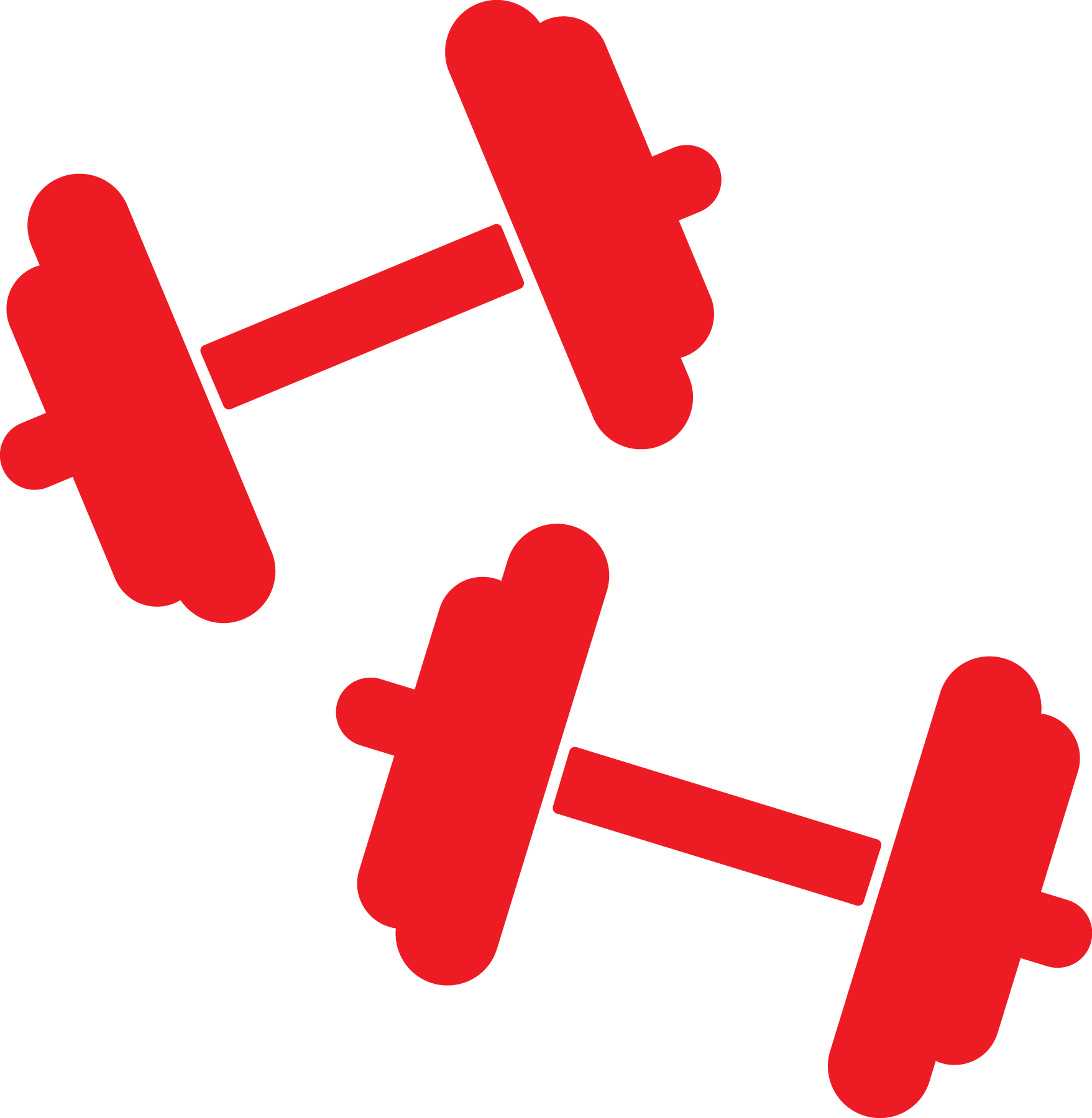 Red Rgb - Ymca Weights (1757x1800)