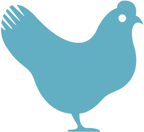Rooster (798x451)