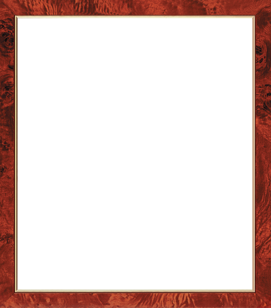 Custom Diploma Frames & Certificate Frames - Picture Frame (535x609)