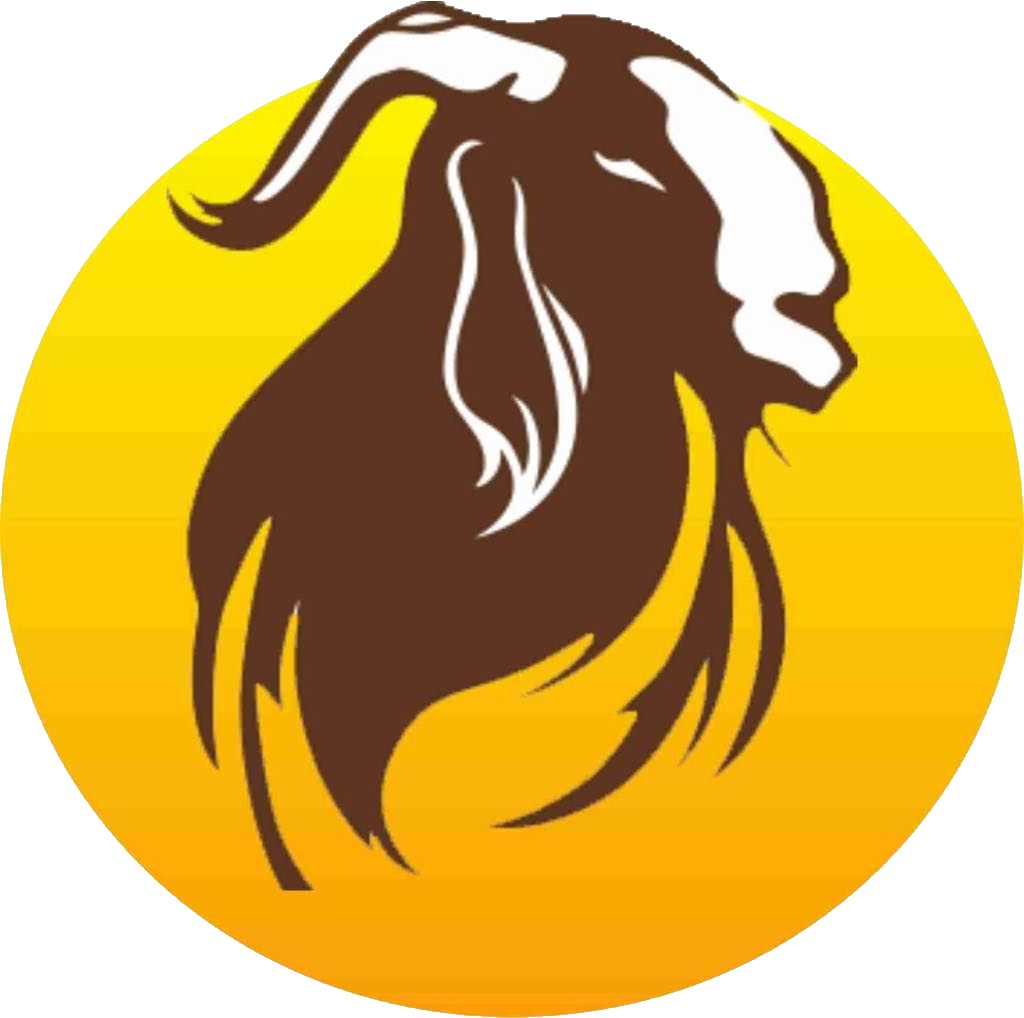 Logo - Illustration (1024x1018)
