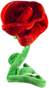 Rose (500x500)