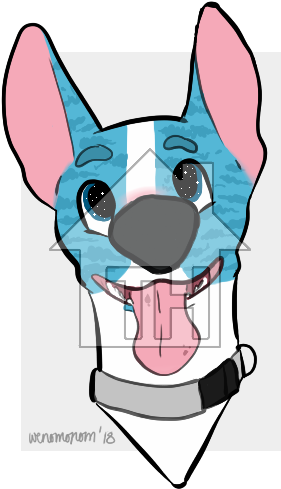 Recent Images - Toy Fox Terrier (314x502)
