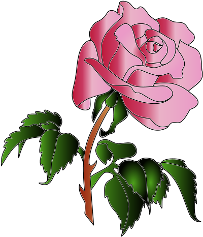 Rose (481x800)