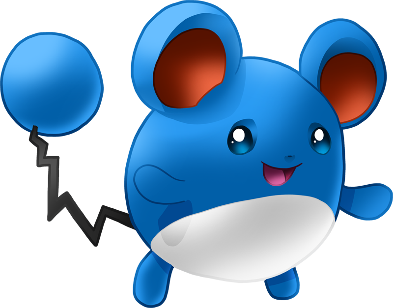 Marill - - Marral Pokemon (800x627)