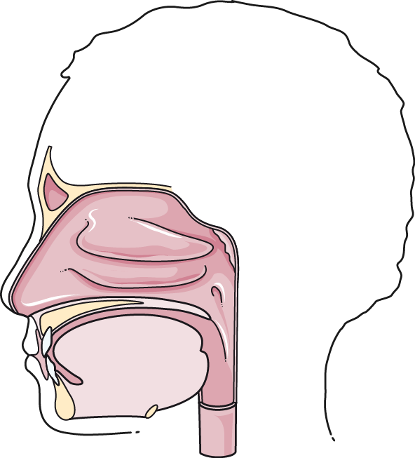 Mouth - Mouth (592x653)