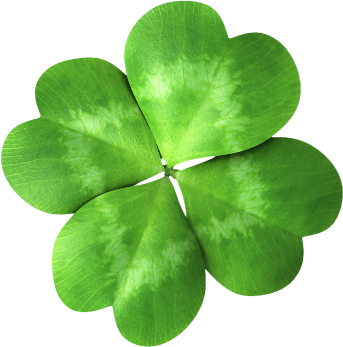 クローバー - Four Leaf Clover (685x693)