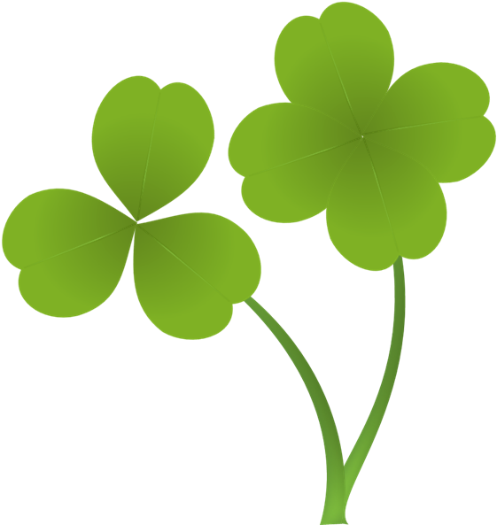四つ葉のクローバー（二輪） - Four-leaf Clover (582x606)