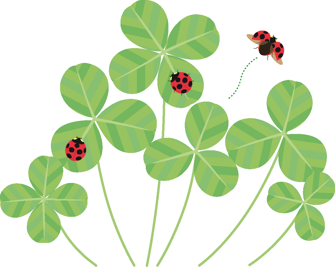 クローバーとてんとう虫のイラストです。 - Shamrock (1126x899)