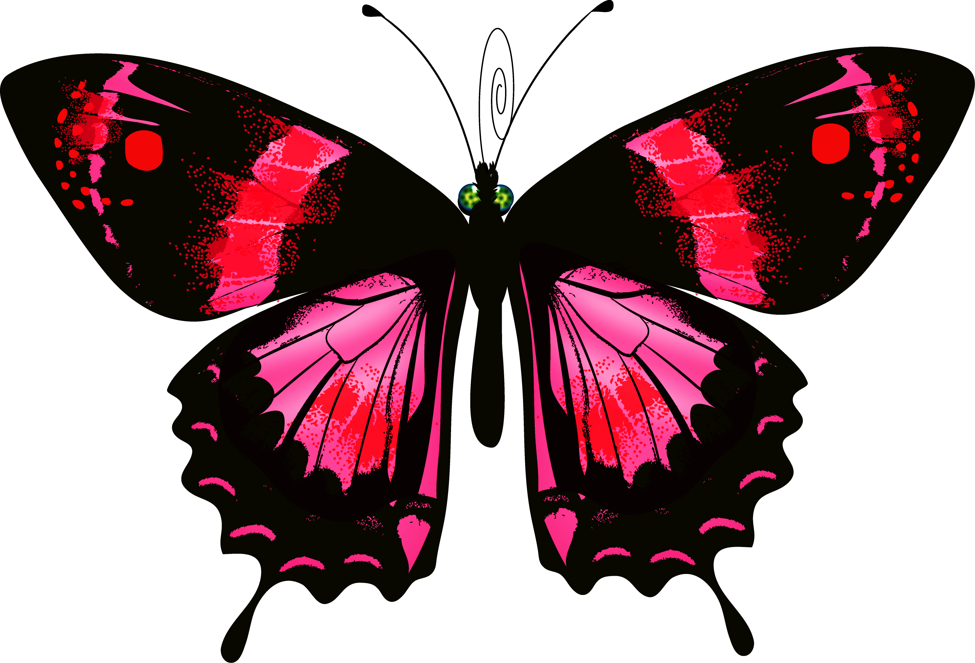Butterfly - Butterfly (3251x2212)