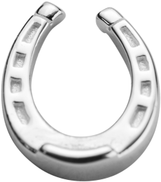 Horseshoe (500x500)