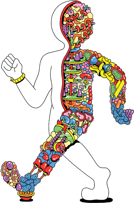 Micro Dude - Gutsy Game Digestive System (462x700)