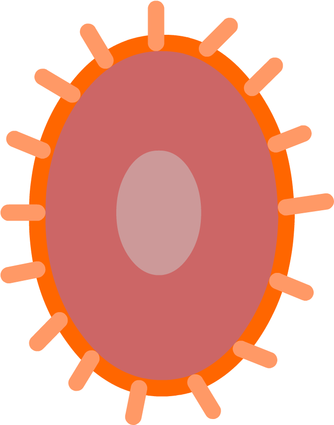 Immune System - Science (880x880)