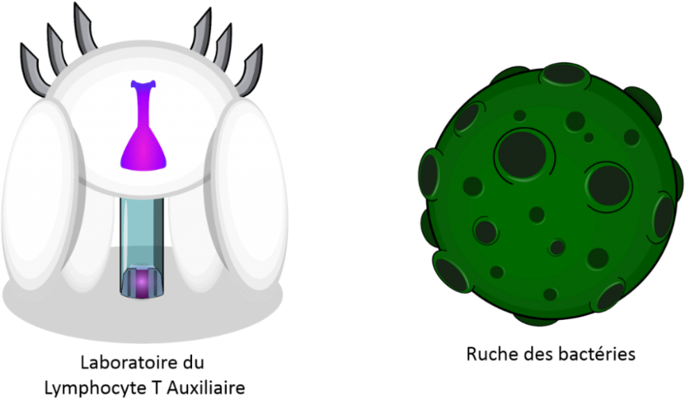 Bb2 - Illustration (1024x594)