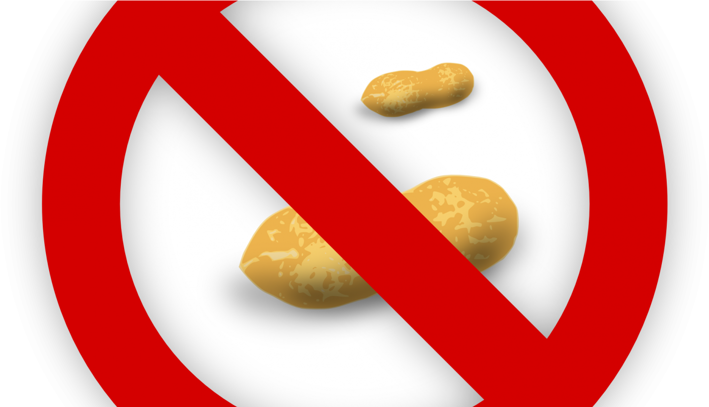 No Peanuts - Food (1456x819)