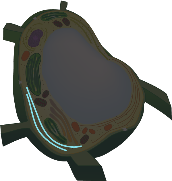 Peroxisome - Diaper Bag (605x636)