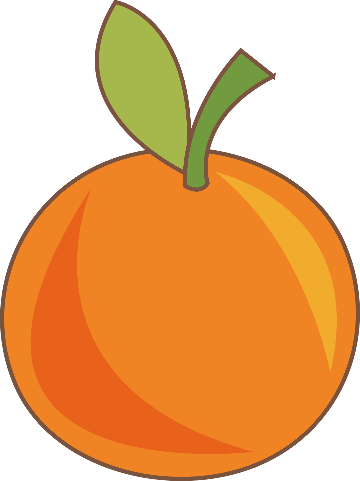 Big Orange Fruit Drawing Free Image - Orange Fruit Drawing (1437x1920)