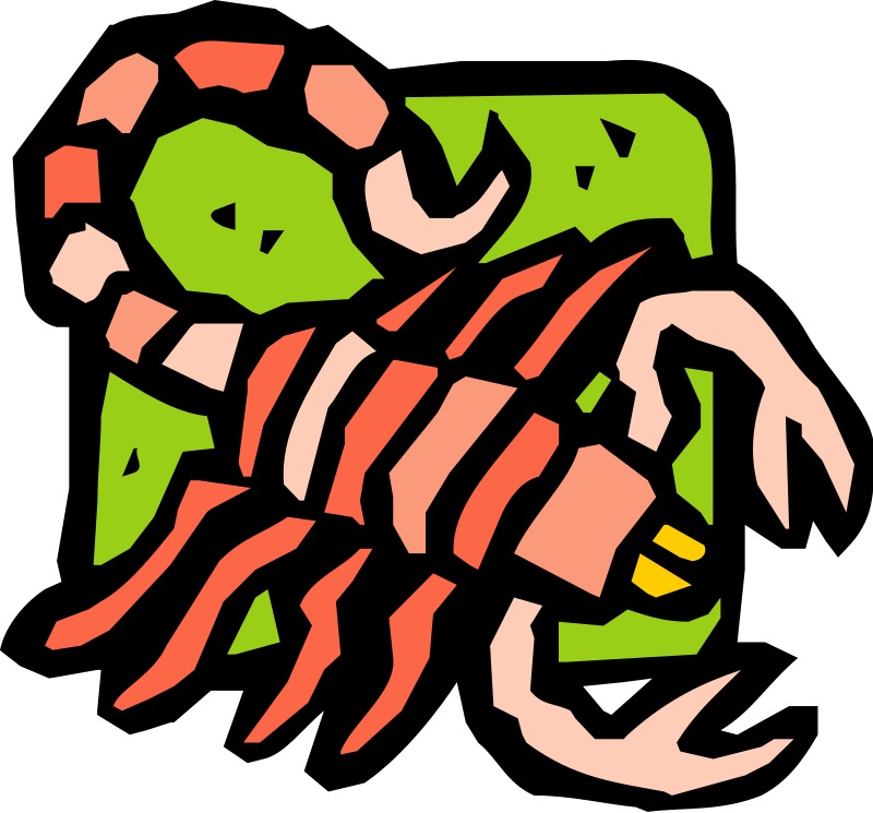 Insect 37 Free Vector - Best Gift Red Corpion Hoodie/t-shirt/mug Black/navy/pink/white (800x745)