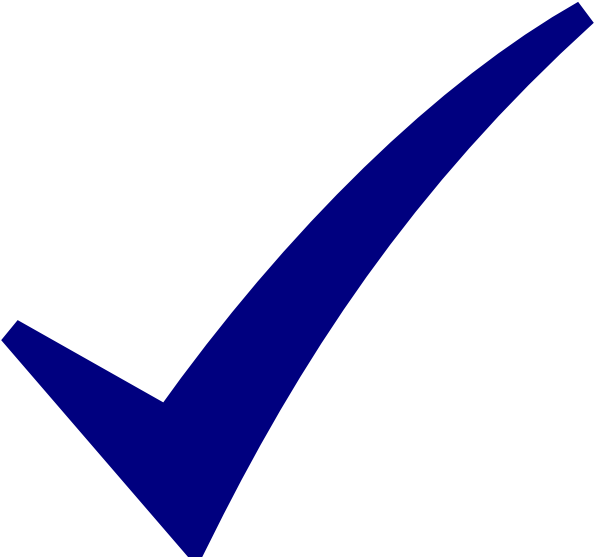 Blue Check Mark Symbol (600x557)