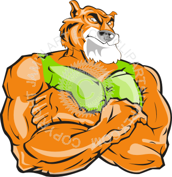 Tiger (351x361)