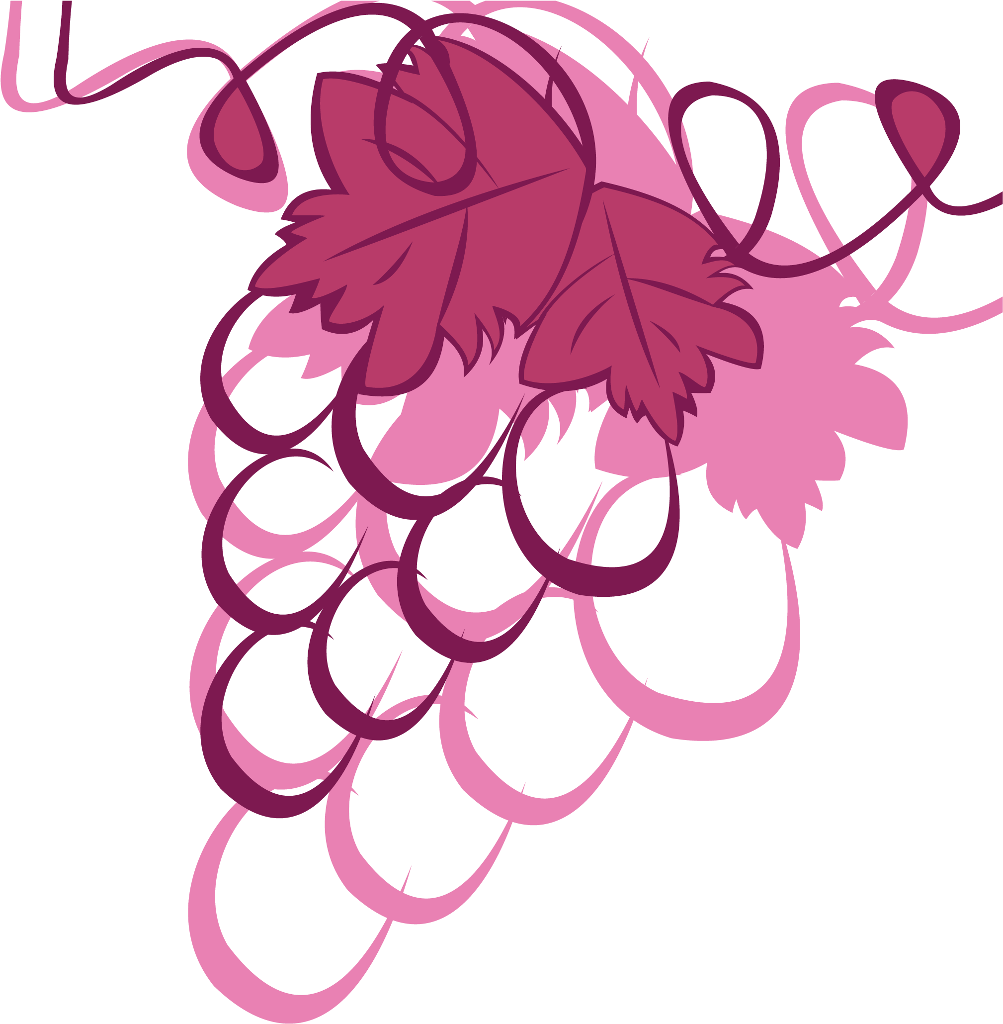 Kyoho Wine Grape - Kyoho Wine Grape (2729x2796)