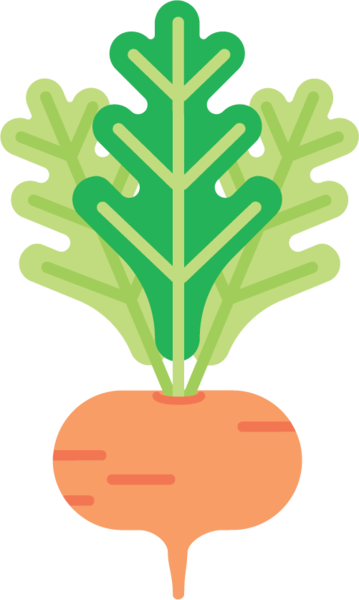 Maca - Maca (359x600)